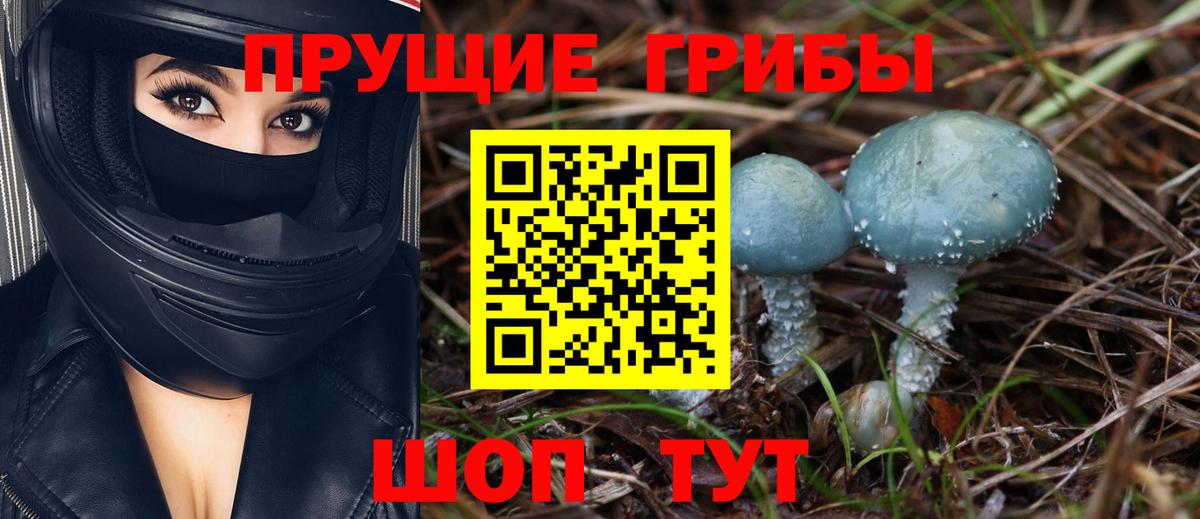 Железногорск  Галлюциногенные грибы MAGIC MUSHROOMS  Вход с VPN 